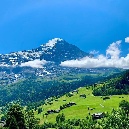 Moench Amazing Apartment Grindelwald Eksteriør bilde
